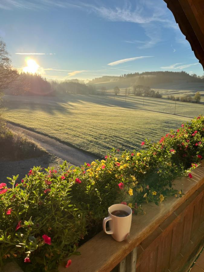 Ferienwohnung Sonnenstrahl Friesenried Экстерьер фото